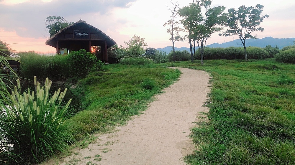 杭州良渚古城遺址公園生態超疏水步道