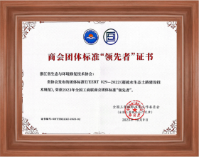 團體標準領先者證書